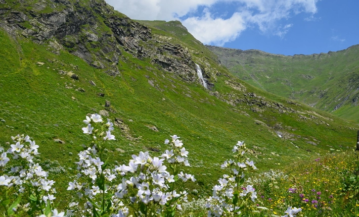 Картинка тура